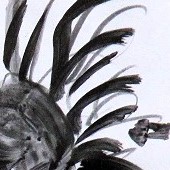 zeichnungen, graphit auf papier 1